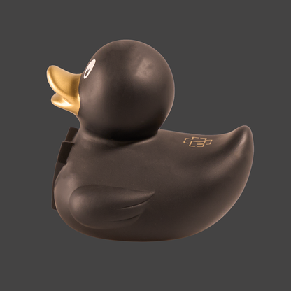 Rubber duck "LIFAD"